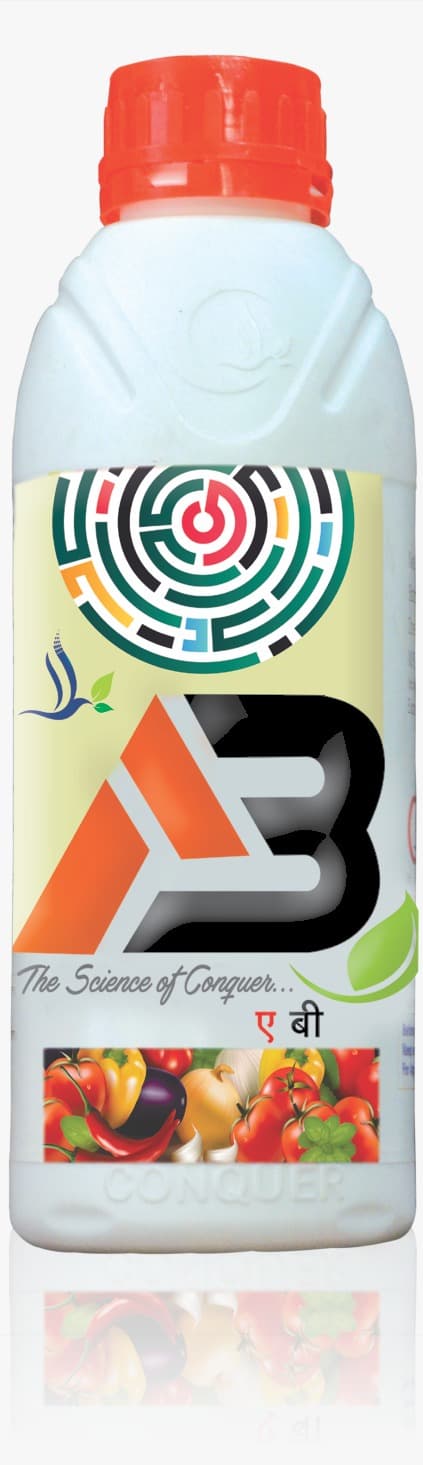 AB